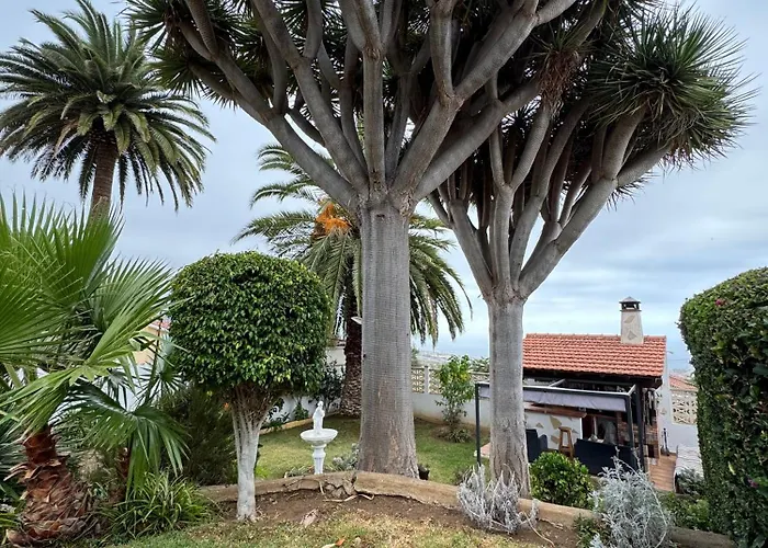 Apartmán Feel - La Orotava